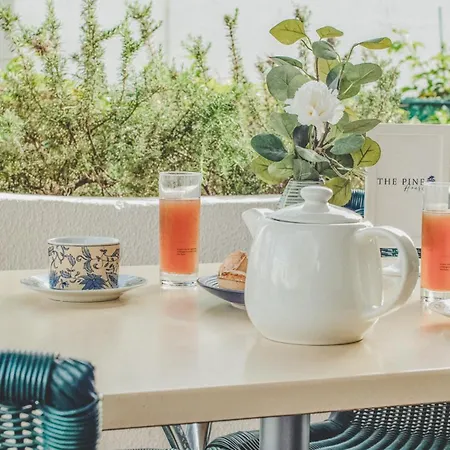 Pine House - Airport, And Center 住宿加早餐酒店 *